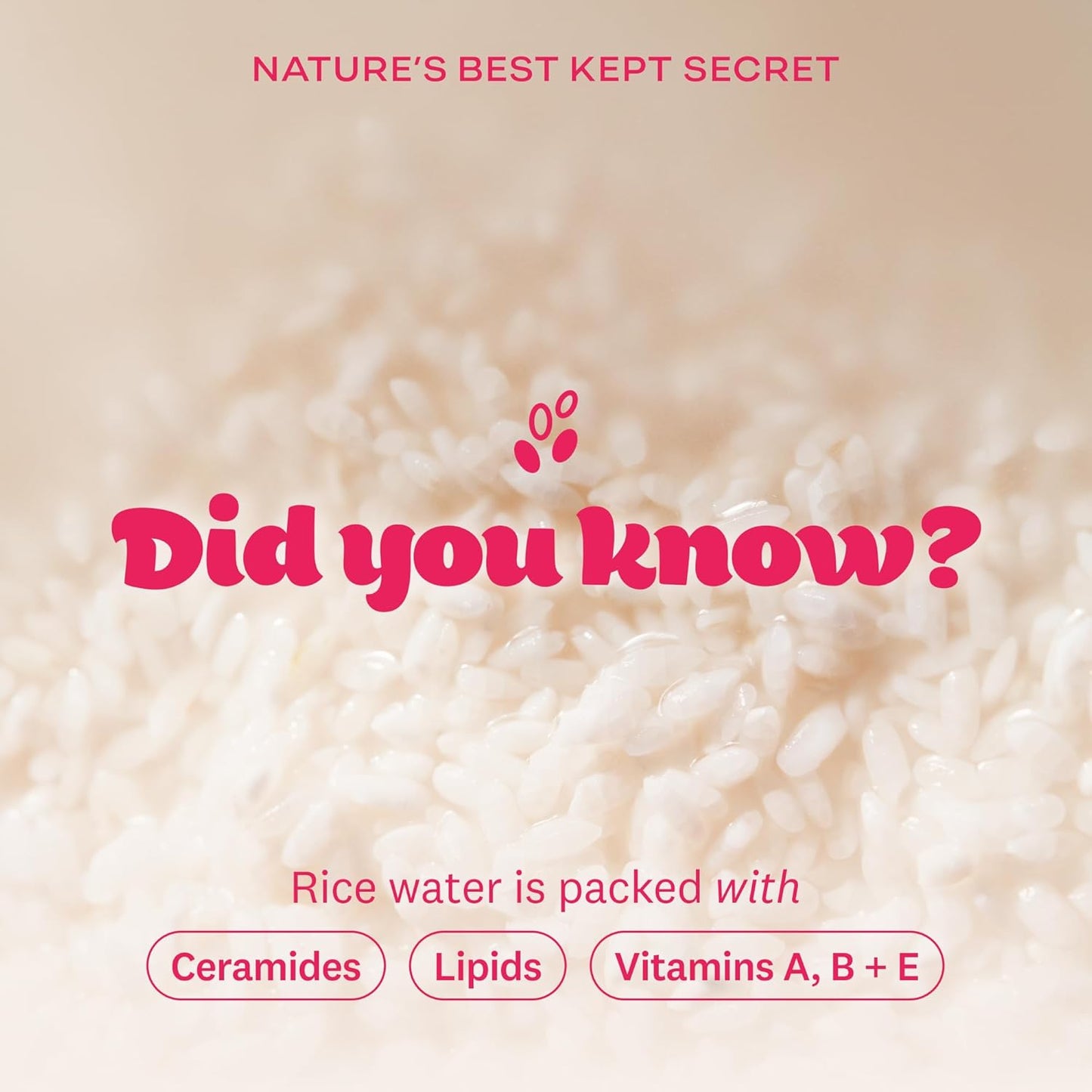 Limpiador Facial Espumoso con Agua de Arroz | Hidratante, Vegano, Coreano - THE FACE SHOP